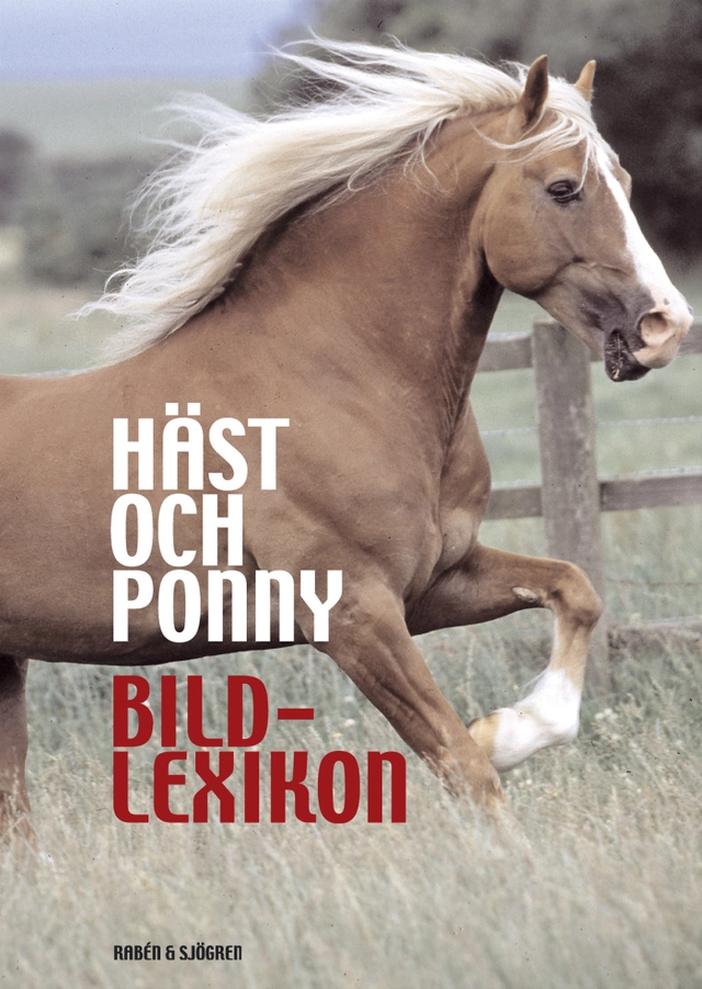 Häst och ponny : bildlexikon; Struan Reid; 2002