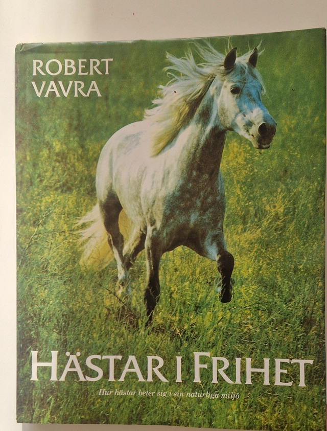 Hästar i frihet : hur hästar beter sig i sin naturliga miljö; Robert Vavra; 1979