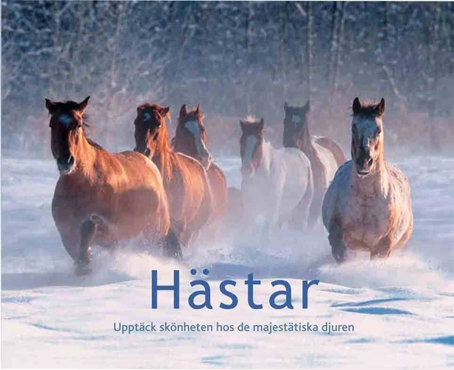 Hästar : upptäck skönheten hos de majestätiska djuren; Philip Ste. Croix; 2012