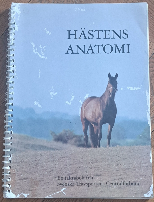 Hästens anatomi : [en faktabok från Svenska travsportens centralförbund]; Björn Sandgren; 1990