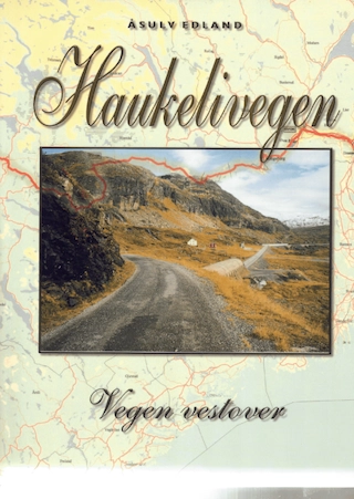 Haukelivegen; Åsulv Edland; 2001