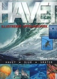 Havet : illustrerat uppslagsverk; Annika Sternö Anderberg, Peter Frances; 2007