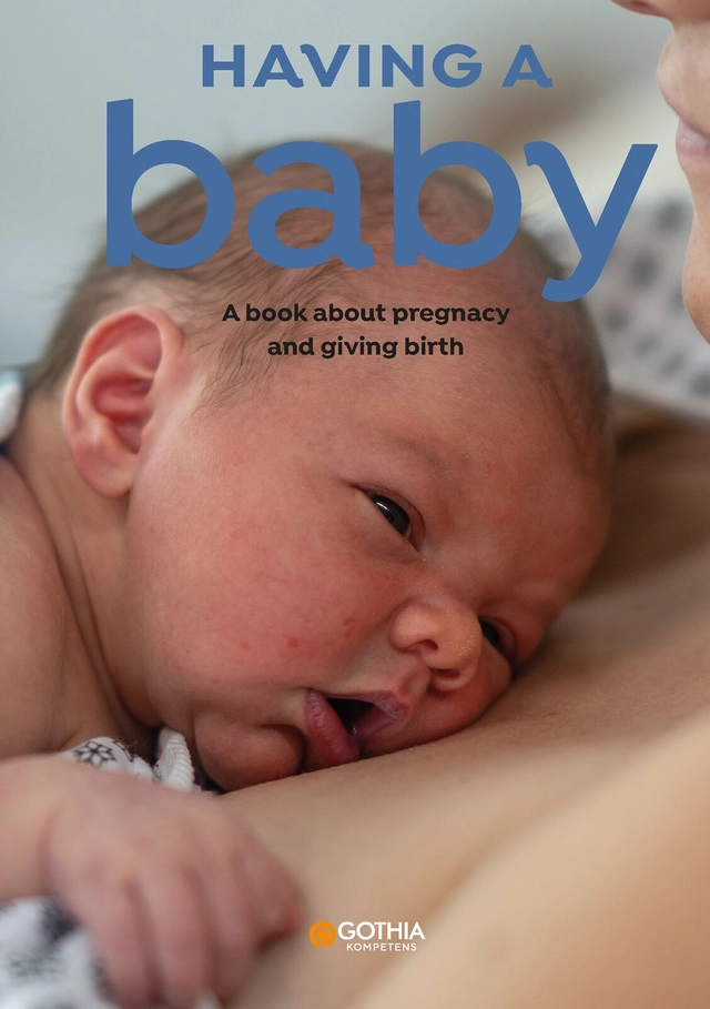 Having a baby : a book about pregnancy and giving birth; Hanne Fjellvang, Linn Richter; 2026