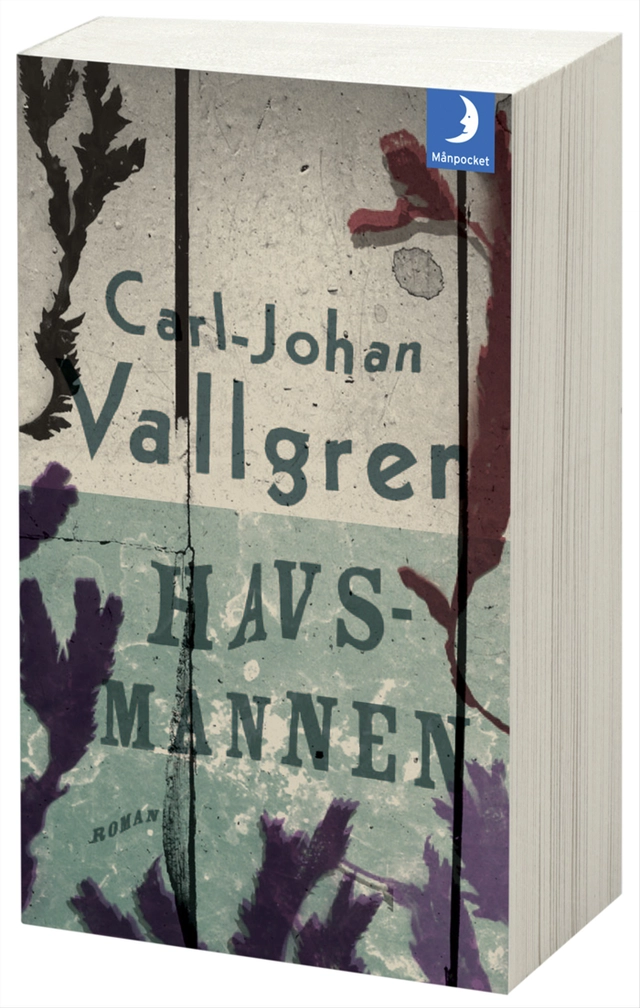 Havsmannen; Carl-Johan Vallgren; 2013