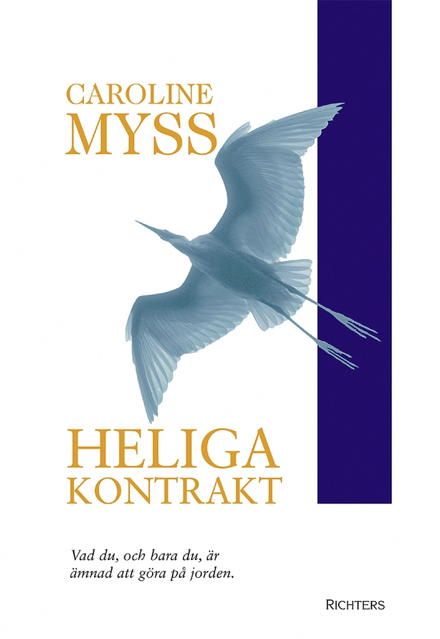 Heliga kontrakt : väck din gudomliga potential; Caroline Myss; 2004