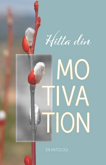 Hitta din motivation; Nina Jansdotter, Monika Chanovian, Monica Poshman, Mikael Ahlberg, Marie-Louise Falk, Helena-Magdalena Ivekrans-Nätt, Gerd Wallin, Eleonore Hammare, Charlotte Ahlberg, Britta Lundkvist, Benny Fröjd, Annica Poring, Anna-Karin Jäntti, Andreas Ekblad, Agneta Orlå; 2020