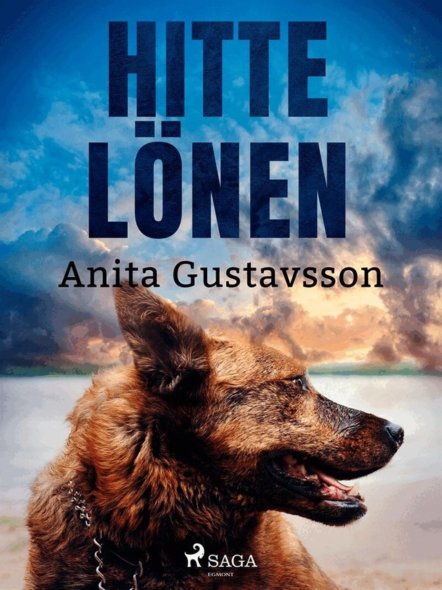 Hittelönen; Anita Gustavsson; 2020