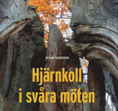 Hjärnkoll i svåra möten; Regina Birkehorn; 2017