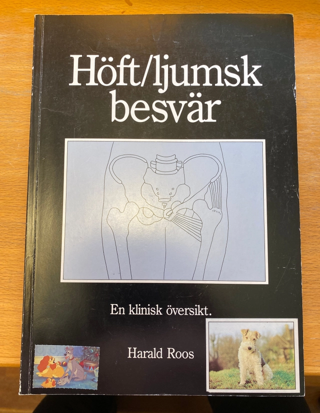 Höft/ljumskbesvär : en klinisk översikt; Harald Roos; 1986