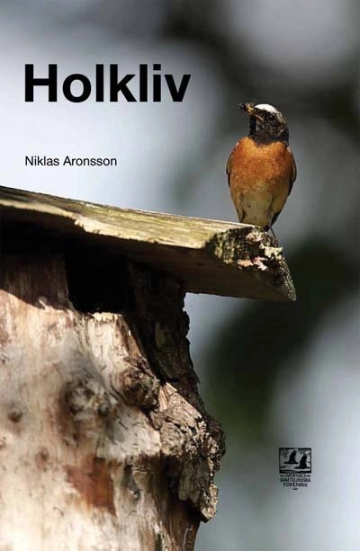 Holkliv; Niklas Aronsson; 2009