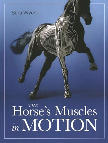 Horse's Muscles in Motion; Sara Wyche; 2022