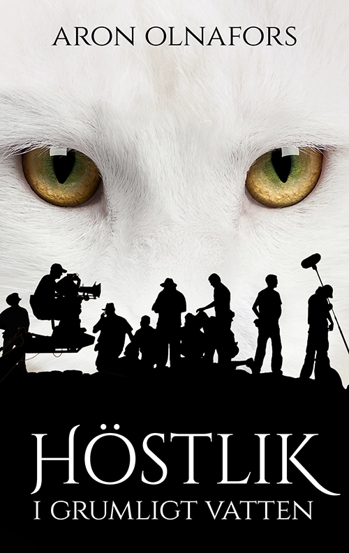 Höstlik i grumligt vatten; Aron Olnafors; 2017