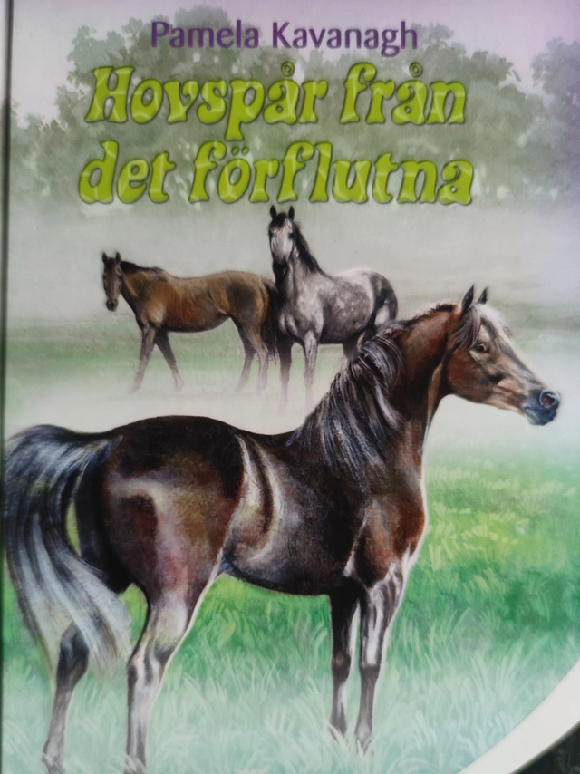 Hovspår från det förflutna; Pamela Kavanagh; 2009