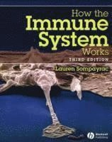 How the Immune System Works; Lauren M. Sompayrac; 1991