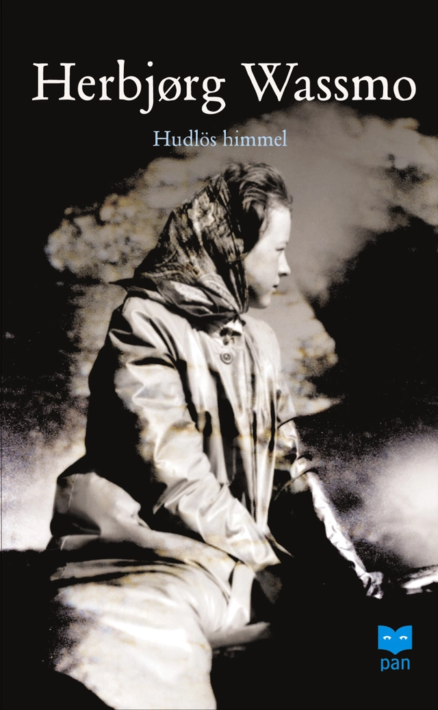 Hudlös himmel; Herbjørg Wassmo; 2002
