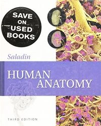 Human anatomy; Kenneth S. Saladin; 2011