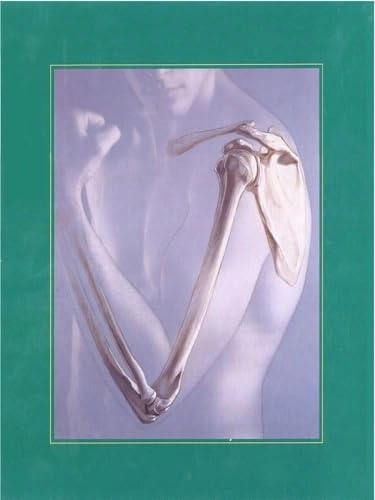 Human anatomy; Frederic Martini; 2000