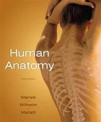 Human Anatomy; Elaine N. Marieb; 2010