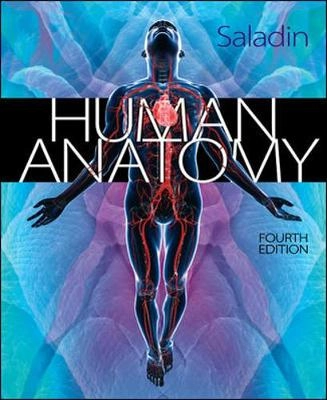 Human anatomy; Kenneth S. Saladin; 2014