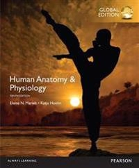 Human anatomy & physiology; Elaine Nicpon Marieb; 2016