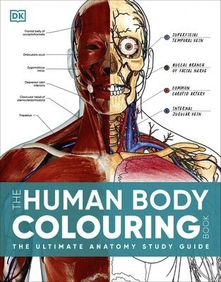Human Body Colouring Book; Dk; 2024