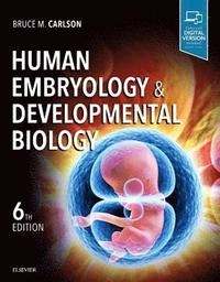Human embryology and developmental biology; Bruce M. Carlson; 2019