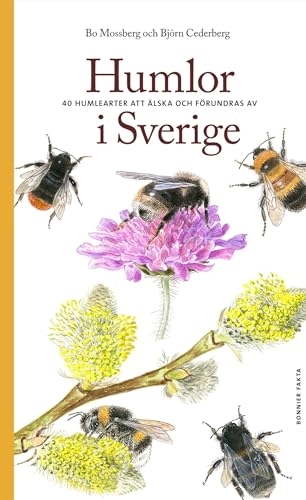 Humlor i Sverige : 40 arter att älska och förundras över; Bo Mossberg, Björn Cederberg; 2012