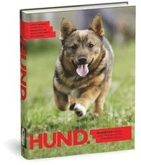 Hund; Agneta Geneborg, Kerstin Malm; 2008