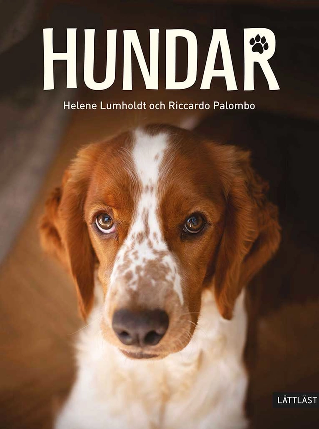 Hundar; Helene Lumholdt; 2022
