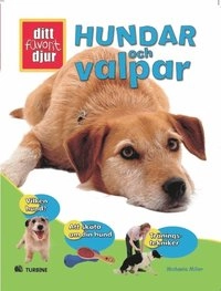 Hundar och Valpar; Michaela Miller; 2007