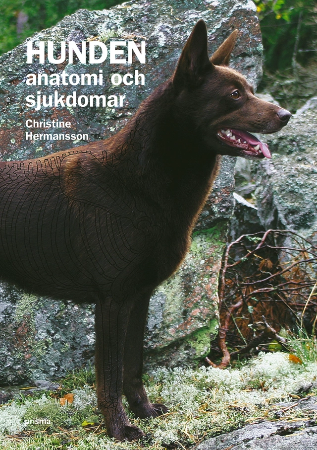 Hunden : anatomi och sjukdomar; Christin Hermansson; 2006