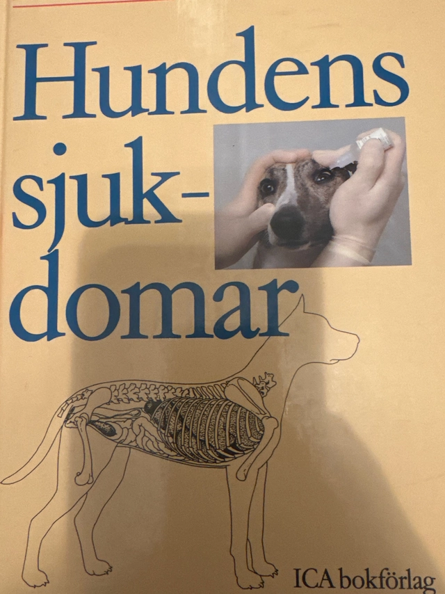 Hundens sjukdomar; Birgitta Wikström; 1993