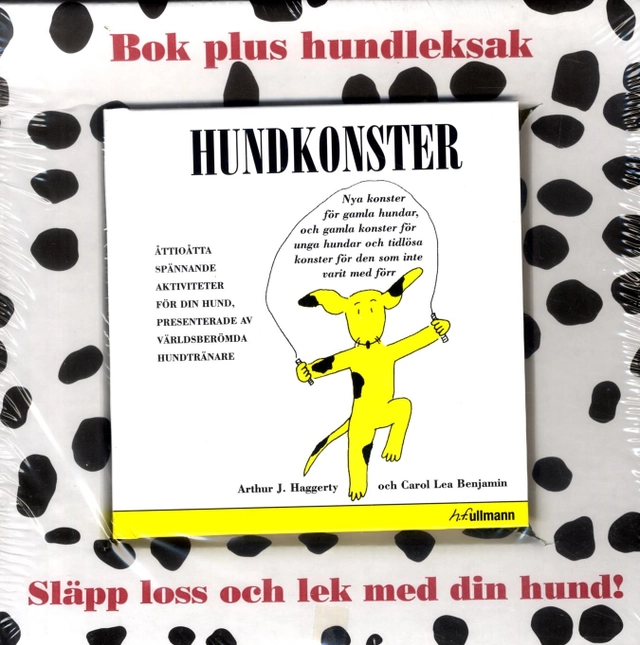 Hundkonster - bok+leksak; Arthur J. Haggerty, Carol Lea Benjamin; 2014