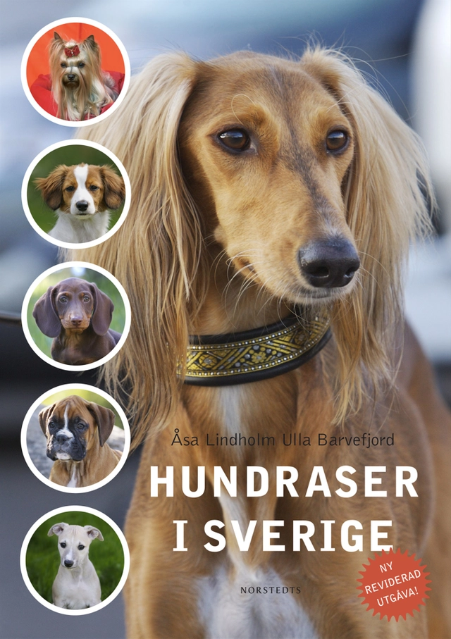 Hundraser i Sverige; Åsa Lindholm, Ulla Barvefjord; 2013