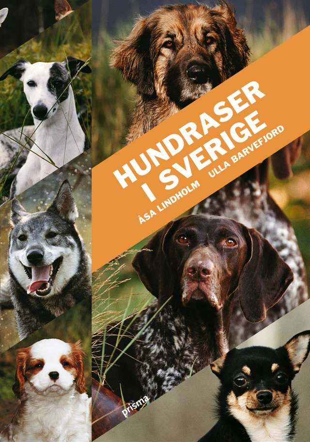 Hundraser i Sverige; Ulla Barvefjord; 2005