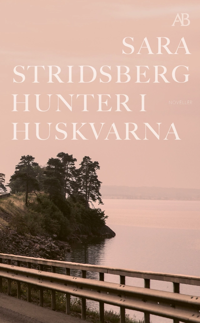 Hunter i Huskvarna; Sara Stridsberg; 2022