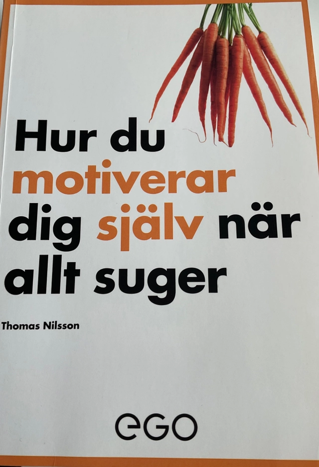 Hur du motiverar dig själv när allt suger; Thomas Nilsson; 2014