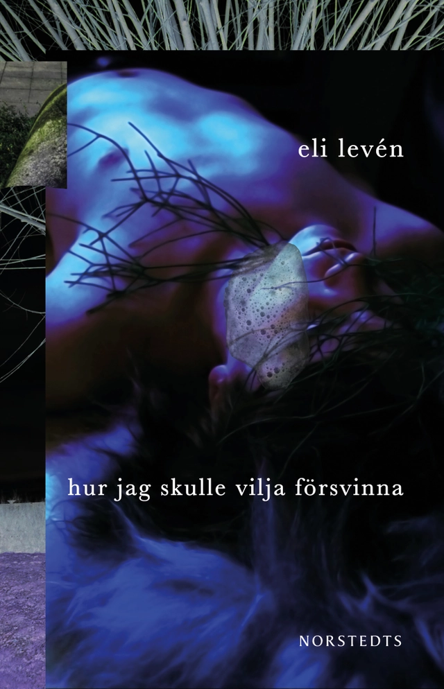 Hur jag skulle vilja försvinna; Eli Levén; 2020