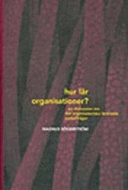 Hur lär organisationer? - en diskussion om det organisatoriska lärandets nyckelfrågor; Magnus Söderström; 1996