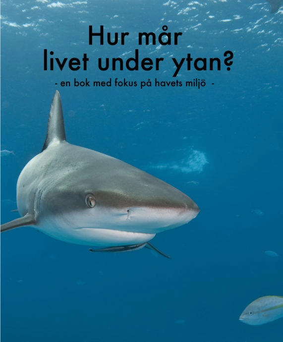 Hur mår livet under ytan? : en bok med fokus på havets miljö; Klas Malmberg, Annika Malmberg, Nellie Malmberg; 2020
