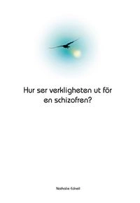 Hur ser verkligheten ut för en schizofren?; Nathalie Ednell; 2007