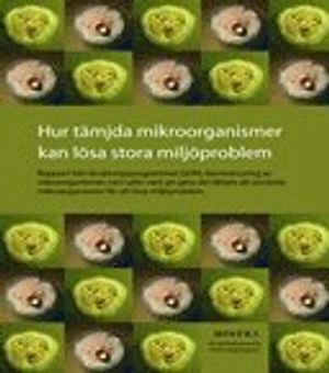 Hur tämjda mikroorganismer kan lösa stora miljöproblem; Sara Nilsson; 2011