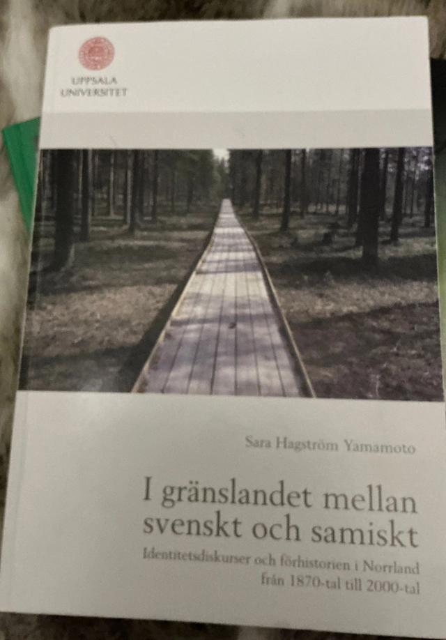 I gränslandet mellan svenskt och samiskt : identitetsdiskurser och förhistorien i Norrland från 1870-tal till 2000-tal; Sara Hagström Yamamoto; 2010