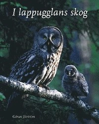 I lappugglans skog; Göran Ekström; 2002
