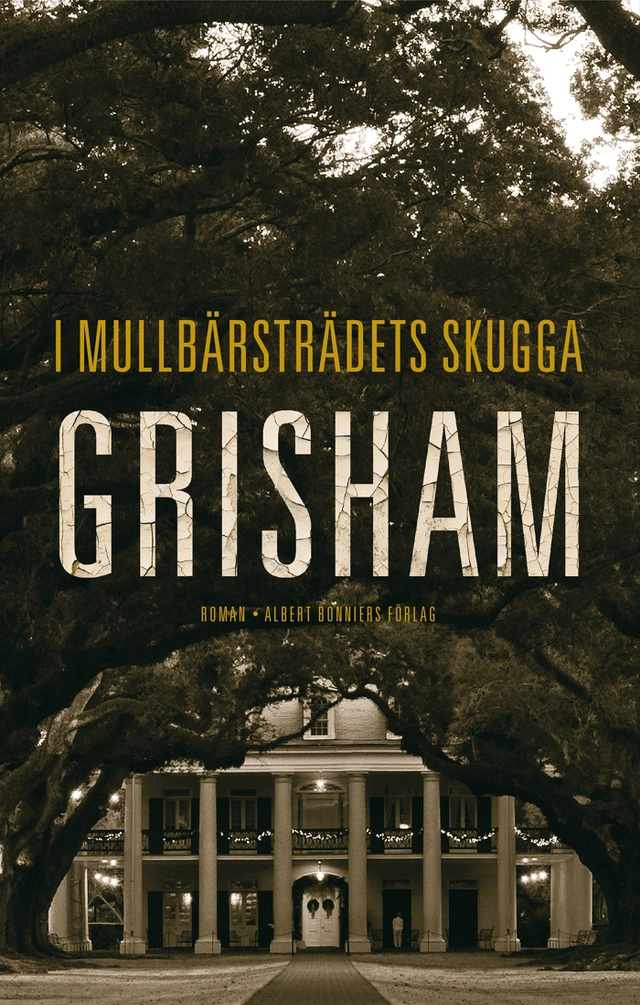 I mullbärsträdets skugga; John Grisham; 2014