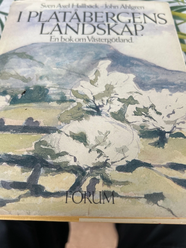 I platåbergens landskap : en bok om Västergötland; Sven Axel Hallbäck; 1976