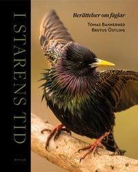 I starens tid; Tomas Bannerhed, Brutus Östling; 2015