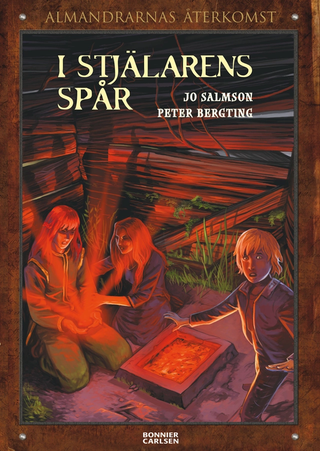 I stjälarens spår; Jo Salmson; 2008