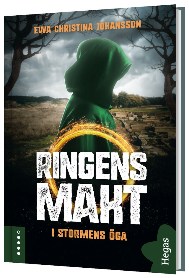 I stormens öga; Ewa Christina Johansson; 2023