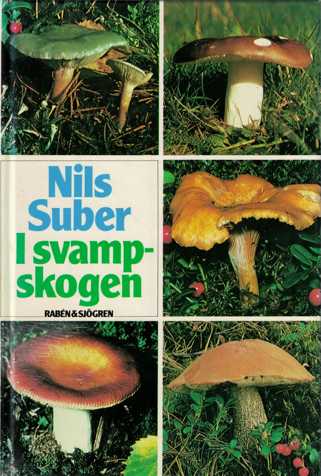 I svampskogen; Nils Suber; 1986